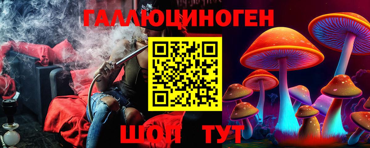 Псилоцибиновые грибы GOLDEN TEACHER Карасук