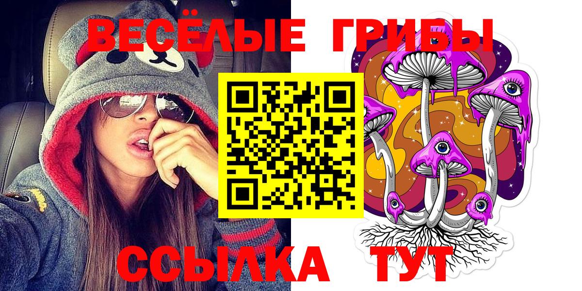 Карасук  Псилоцибиновые грибы ЛСД  где можно купить наркотик  Вход с VPN 
