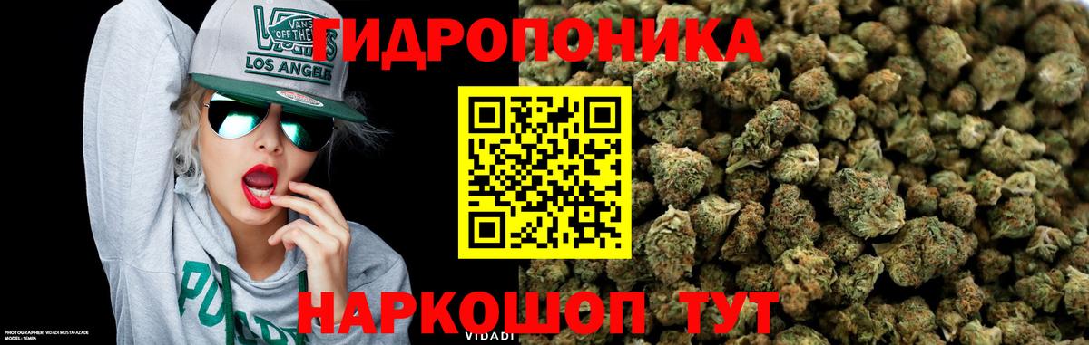 Шишки марихуана Ganja  Канабис Ganja  Карасук  Канабис ГИДРОПОН  Канабис план  Вход с VPN 
